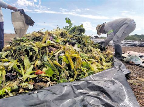 Dos Mil Kilos De Residuos Org Nicos Se Convierten En Abono Natural