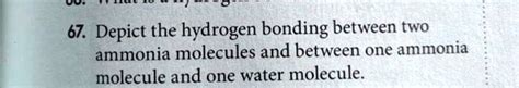 Solved 67 Depict The Hydrogen Bonding Between Two Ammonia Molecules And Between One Ammonia