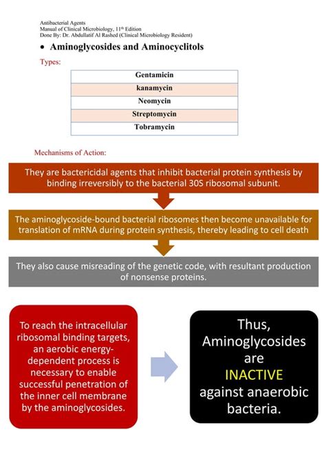 Protein Synthesis Inhibitors Antibiotics Pdf