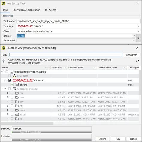 Source Oracle Backup Sepsesam