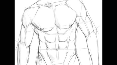 How To Draw A Torso Torso Sketch Body Sketches Drawing People