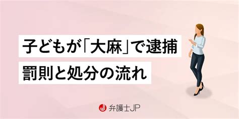 子どもが大麻で逮捕されたら…処分の流れや初犯の場合について解説 弁護士jp