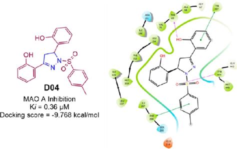 HMAOA Inhibitory Activity And 2D Molecular Docking Pose Compound D04