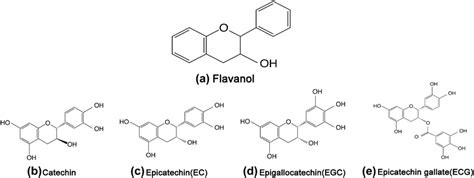 A Chemical Structure Of Flavan 3 Ol Flavanol And B C D E Common