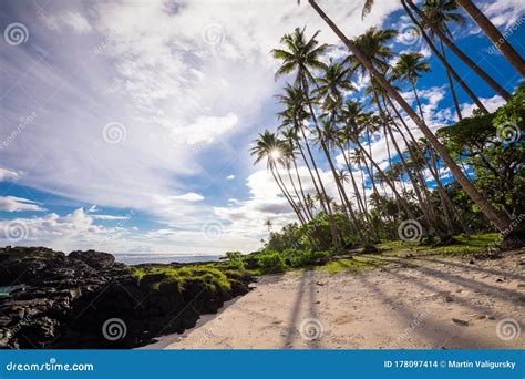 Playa Tropical Al Sur De La Isla De Samoa Con Cocoteros Foto De Archivo