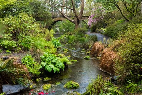 Best parks in Portland, Oregon - Lonely Planet