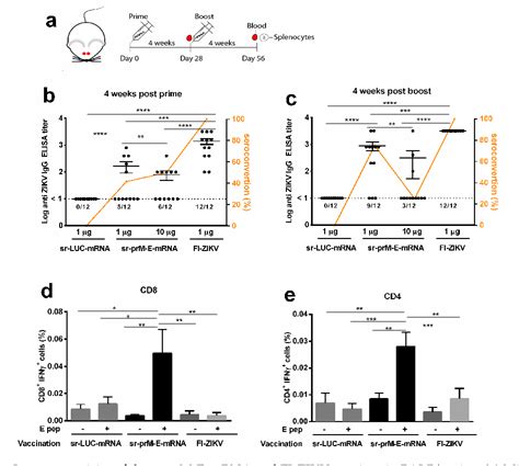 Figure 2 From Immunogenicity And Protection Efficacy Of A Naked Self