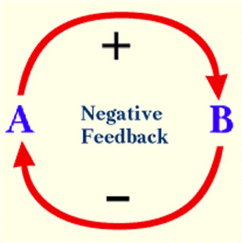 Negative feedback examples - apetewsX