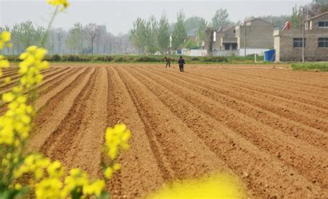 中央擬定：土地資源升級管理，宅基地、耕地或將被徵收，咋回事？ 壹讀