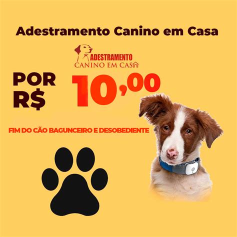 Adestramento Canino Em Casa O Guia Mestre