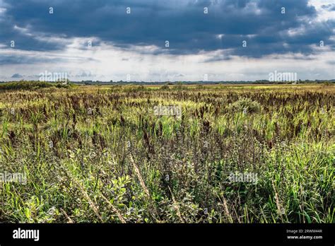 Denmark Wet Hi Res Stock Photography And Images Alamy