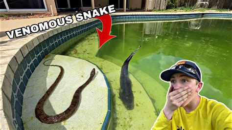 Deadly Snake Ate These Fish!! – Bass Manager | The Best Bass Fishing ...