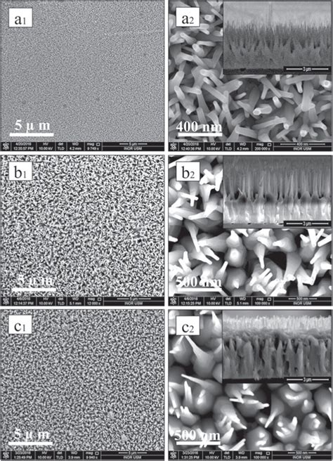 Top View Fe Sem Images At Two Different Magnifications Of Zno Nanorod