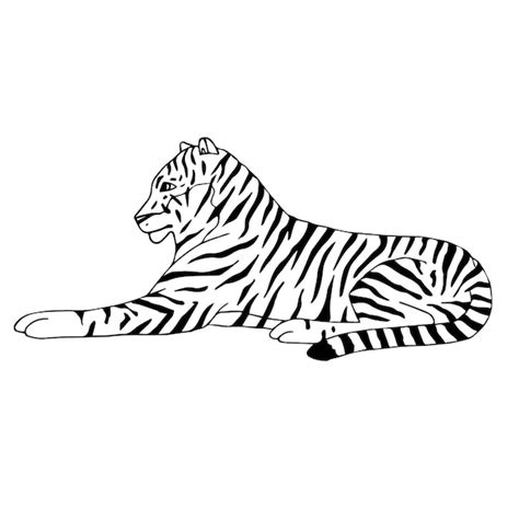 Premium Vector Vector Hand Drawn Doodle Sketch Lying Tiger