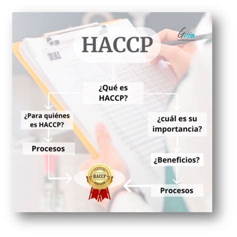 Haccp Gu A Soluciones