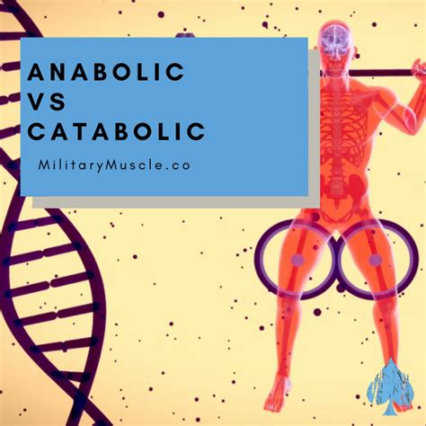 Anabolic vs Catabolic