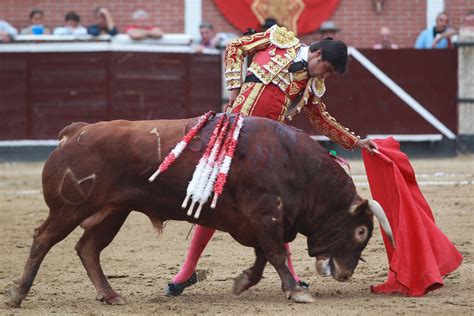 San Sebastian De Los Reyes Descubra Tudo Sobre A Plataforma De