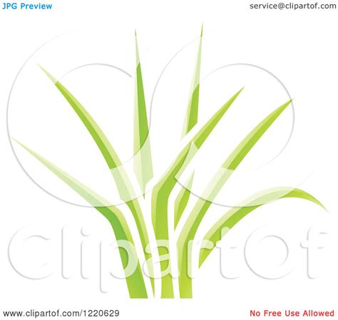 Clipart of a Patch of Green Grass - Royalty Free Vector Illustration by ...