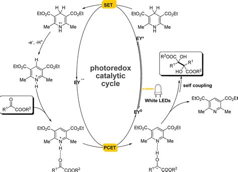 Synthesis Of 2 3 Dialkylated Tartaric Acid Esters Via Visible Light