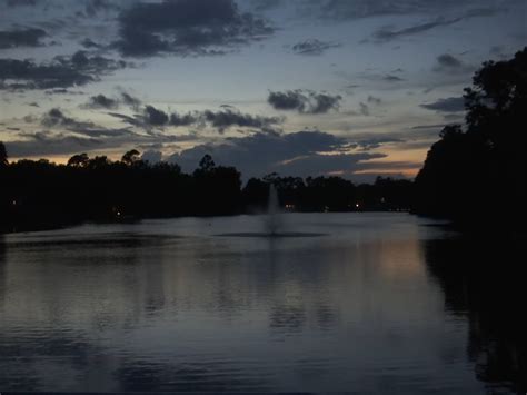 Alligator Spotted In Dogwood Lake In Surfside Beach Scdnr Doesnt Plan