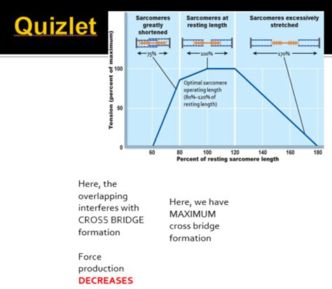 Bio 319 Exam 3 Part 2 Lec 12 13 Flashcards Quizlet