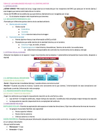 Tema Las Habilidades Visuales Y El Control Motor Pdf