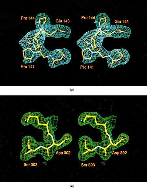 Representative Sections Of The ®nal 2f O À F C Electron Density Map Download Scientific