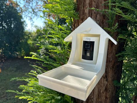 Ring Camera Bird Feeder Camera Not Included Etsy