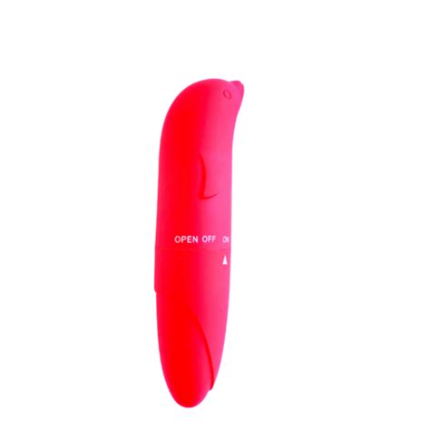 Vibrador Golfinho Ponto G Pilha Secrety Sedu O