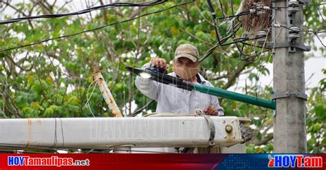 Hoy Tamaulipas Tamaulipas Moderniza Gobierno De Altamira Alumbrado De