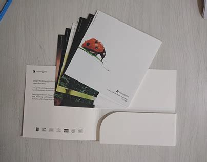 Shadecard Projects | Photos, videos, logos, illustrations and branding on Behance