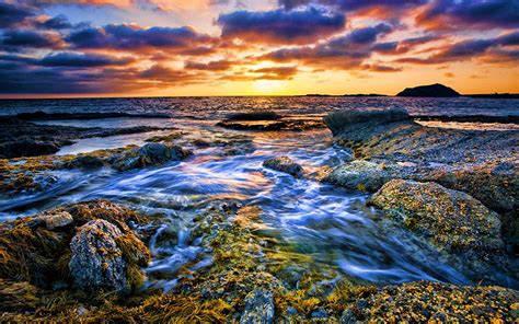 wallpaper  wallpaper