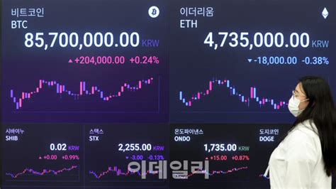 포토 비트코인 잇단 겹악재에 4대 약세 네이트 뉴스