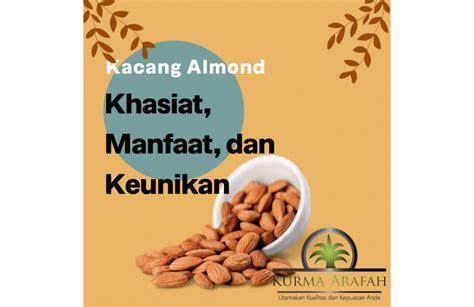 Kacang Almond Khasiat Manfaat Dan Keunikan