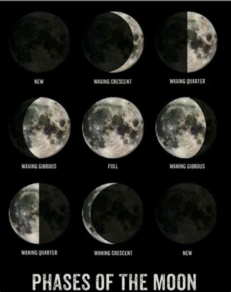 MOON PHASES | Moon phases, Moon, Astronomy gift