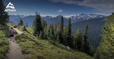 Day hikes at Sunrise, Mount Rainier | List | AllTrails