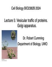 Understanding Protein Trafficking Golgi Apparatus Vesicular Course