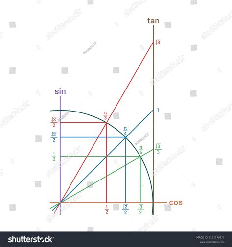 Trigonometric Unit Circle Sine Cosine And Royalty Free Stock Vector