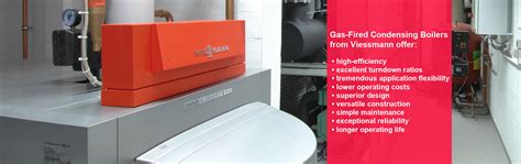 Commercial Boiler Installation With Viessmann Sander Mechanical Service