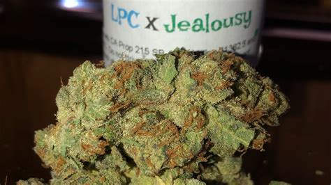 London Pound Cake X Jealousy Strain Review Youtube