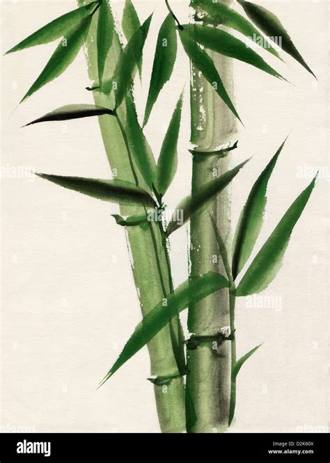 Original art, watercolor painting of bamboo, Asian style painting Stock Photo - Alamy