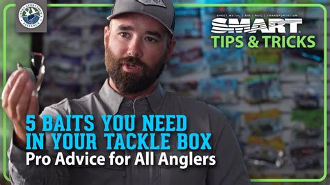 Baits You Need In Your Tackle Box Pro Advice For All Anglers