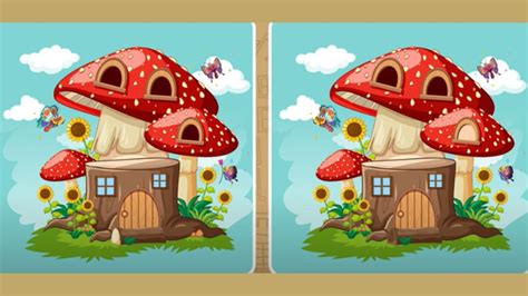 Brain Teaser Image Puzzle Can You Spot 5 Differences Between These Two