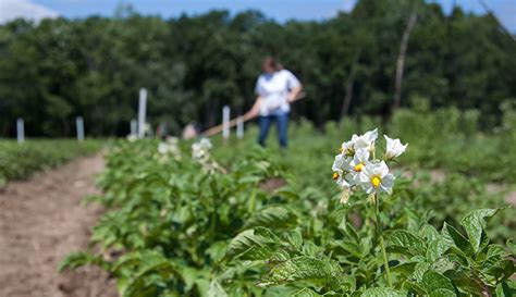 When You Start A Farm, You Start A Business - Hobby Farms