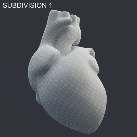 Human Heart Animation 3d Model Turbosquid 1298711