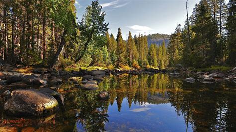 Lake In Forest Wallpapers Wallpaper Cave