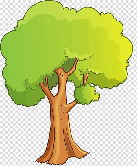 Green Leafed Tree Illustration Tree Cartoon Drawing Cartoon Tree