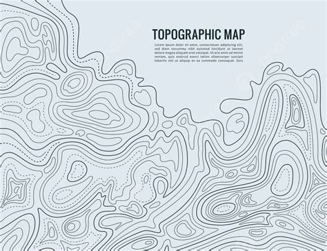 Contour Line Map Background Vector Plan Height Element Background