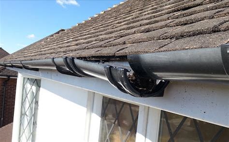 Gutter Repair Services in Boston, Massachusetts