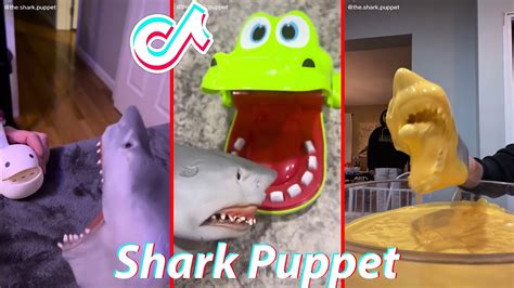 Funny Shark Puppet Tiktok 2022 Best The Shark Puppet Tiktok Video